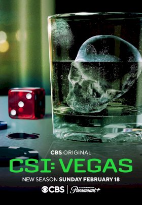 CSI: Место преступления Вегас :: постер