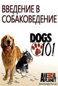 Введение в собаковедение :: постер