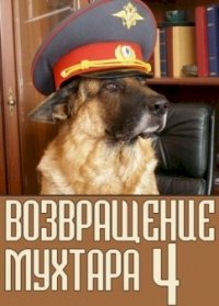 Возвращение Мухтара :: постер