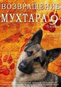 Возвращение Мухтара :: постер