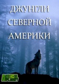 Animal Planet: Джунгли Северной Америки