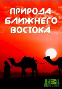 Animal Planet: Природа Ближнего Востока